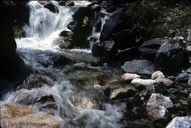 Bhutan Stream